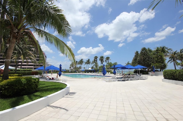 view of pool featuring a patio