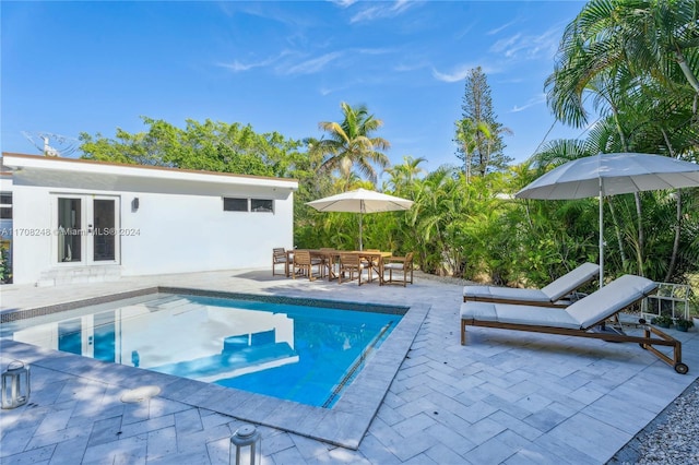 view of swimming pool featuring french doors and a patio