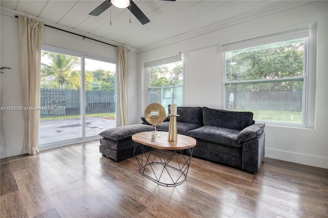 living room with hardwood / wood-style flooring and plenty of natural light