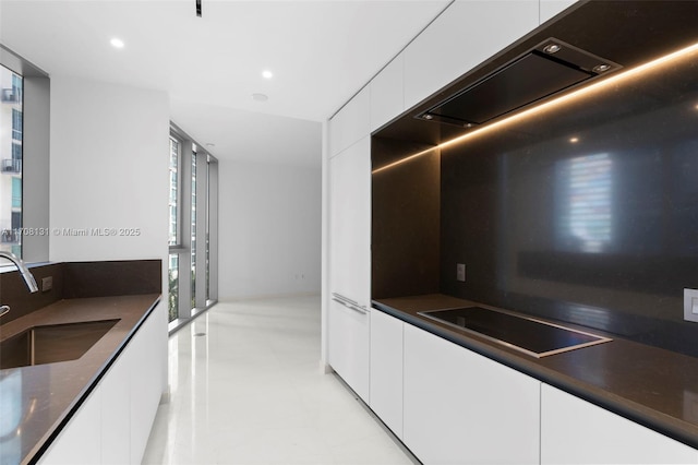 kitchen featuring tasteful backsplash, sink, and white cabinets