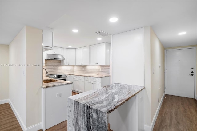 kitchen featuring light stone counters, under cabinet range hood, wood finished floors, and visible vents
