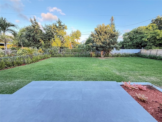 view of yard with a patio