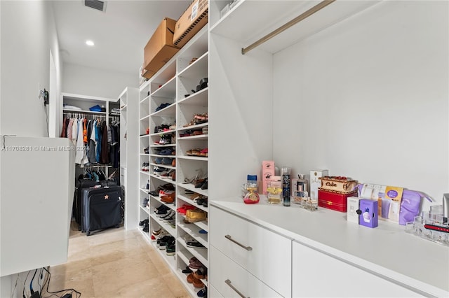 view of spacious closet