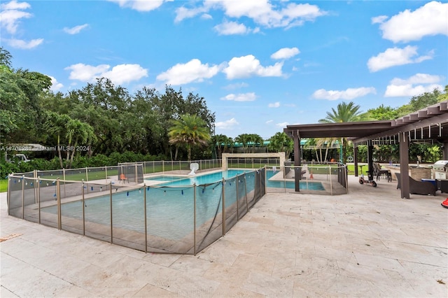 view of swimming pool with a patio