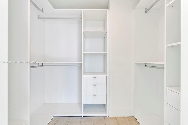 view of spacious closet