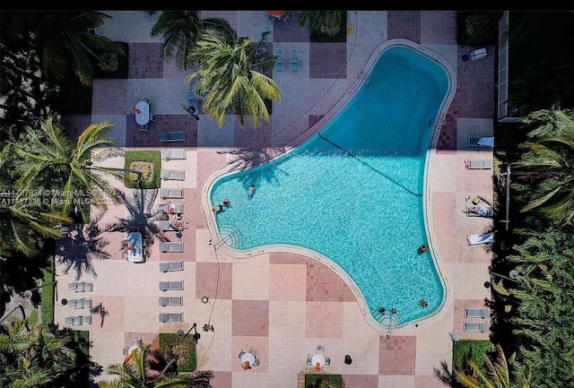 view of swimming pool