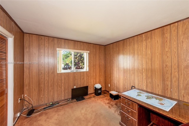 unfurnished office featuring carpet flooring and wooden walls