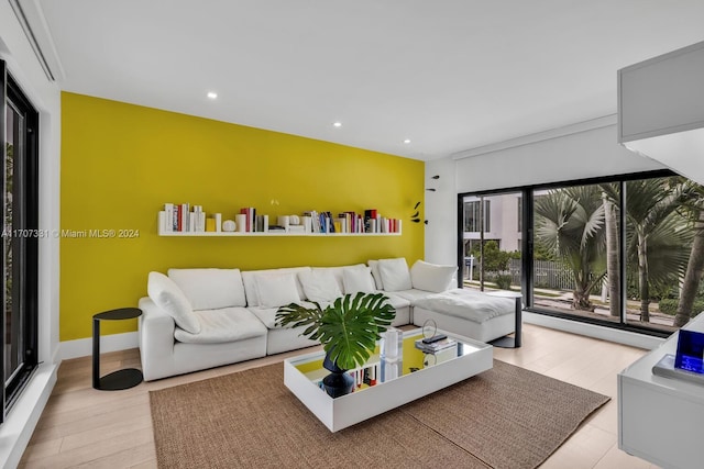 living room featuring light hardwood / wood-style flooring