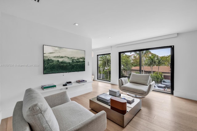 living room featuring light hardwood / wood-style flooring and a wealth of natural light