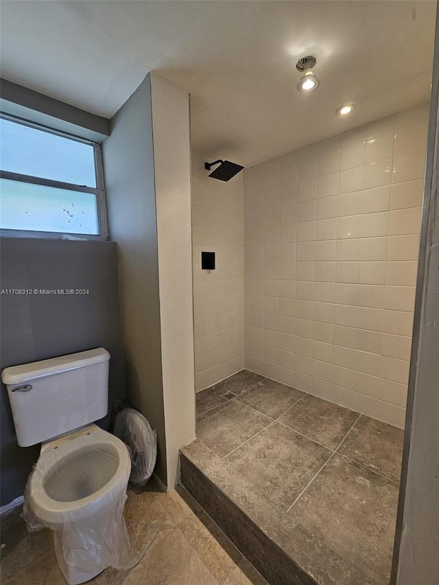 bathroom with a shower and toilet