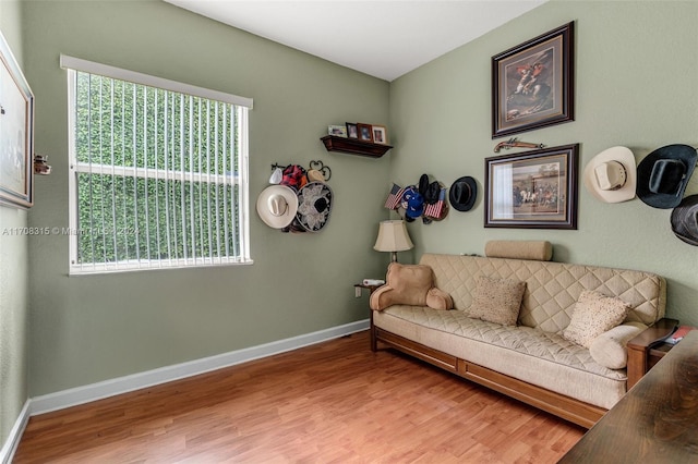 living room with hardwood / wood-style floors