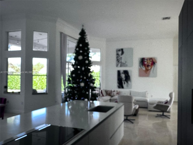 kitchen featuring stovetop, a textured ceiling, and sink