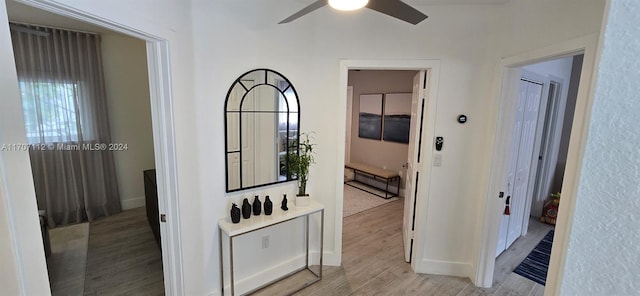 hallway featuring light hardwood / wood-style floors