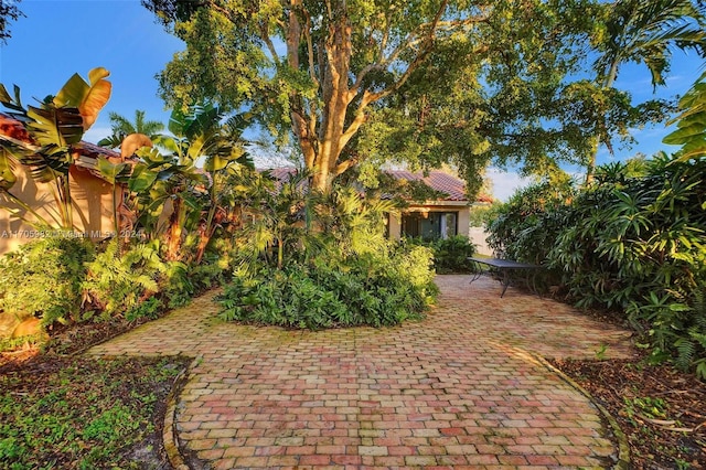 exterior space with a patio area