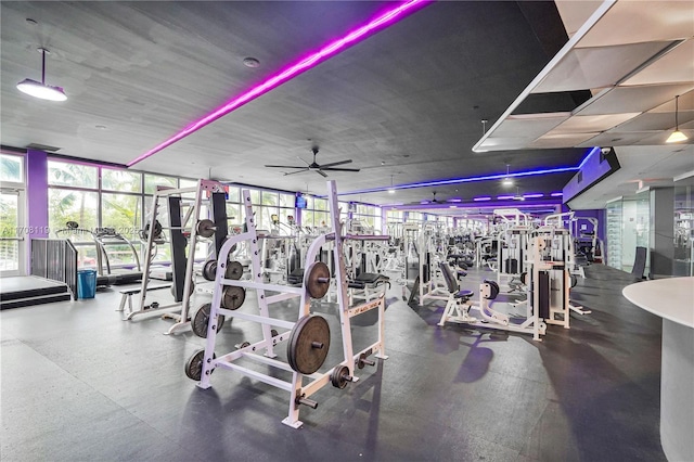 workout area featuring ceiling fan and floor to ceiling windows