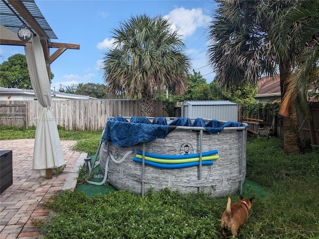 view of yard featuring a patio and a storage shed