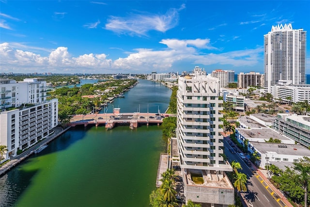 aerial view with a water view