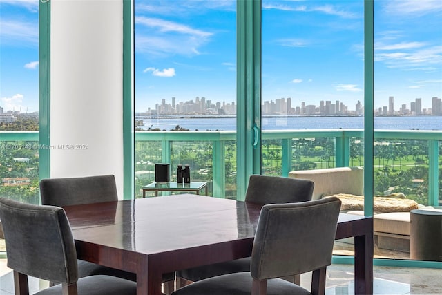 dining room featuring a wealth of natural light