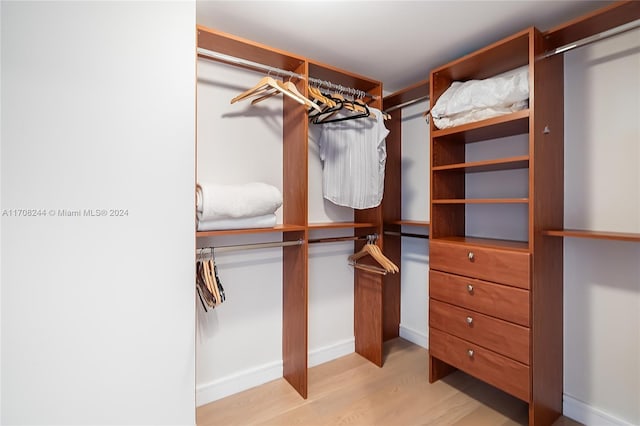 spacious closet featuring light hardwood / wood-style flooring