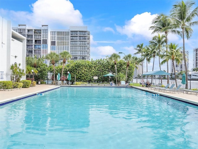 view of pool