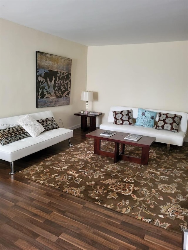 living room featuring dark hardwood / wood-style flooring