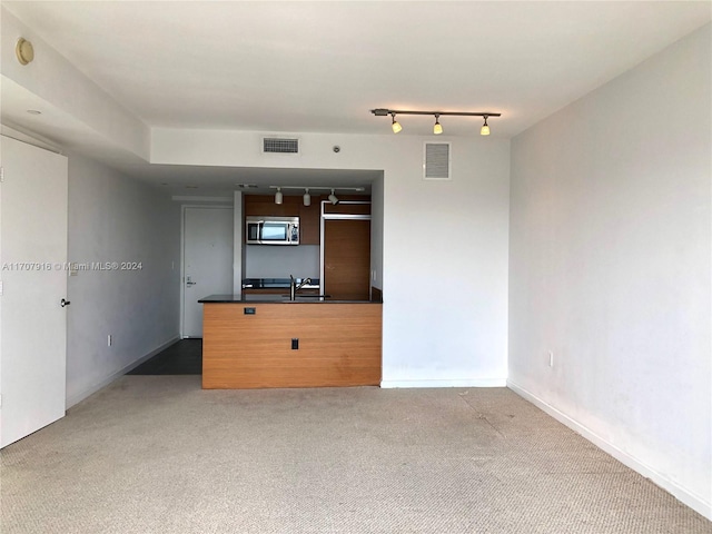 carpeted empty room with track lighting and sink