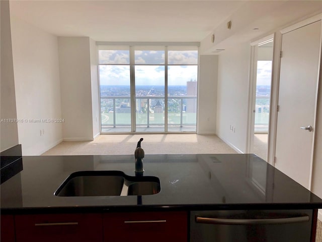 kitchen featuring dishwasher and light colored carpet