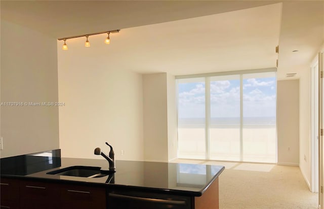 kitchen featuring rail lighting, stainless steel dishwasher, dark brown cabinetry, light colored carpet, and sink