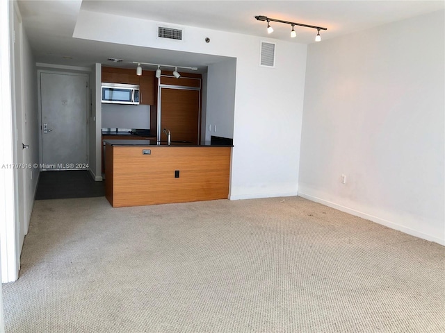 carpeted spare room featuring sink and rail lighting