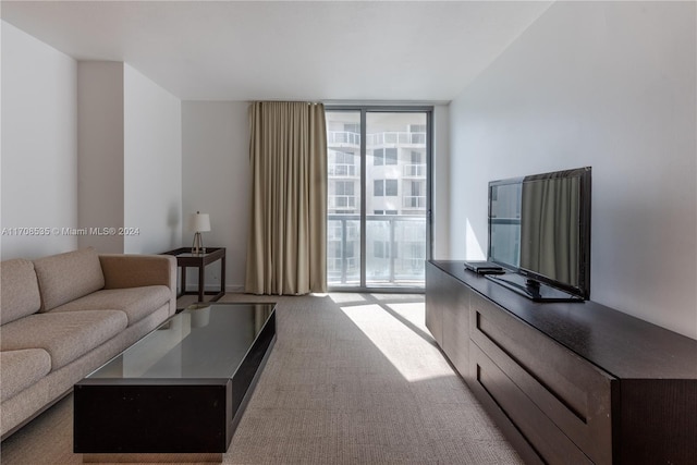 carpeted living room with expansive windows