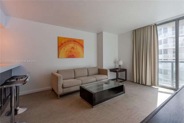 view of carpeted living room