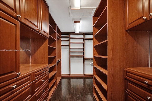 spacious closet featuring dark hardwood / wood-style floors