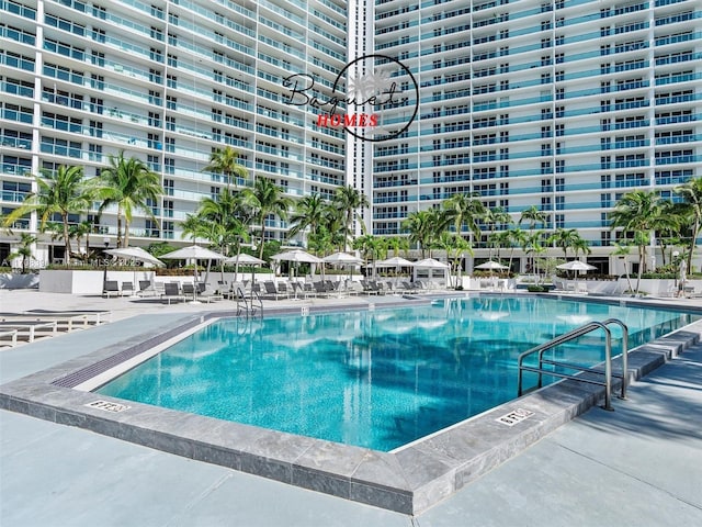 view of pool featuring a patio