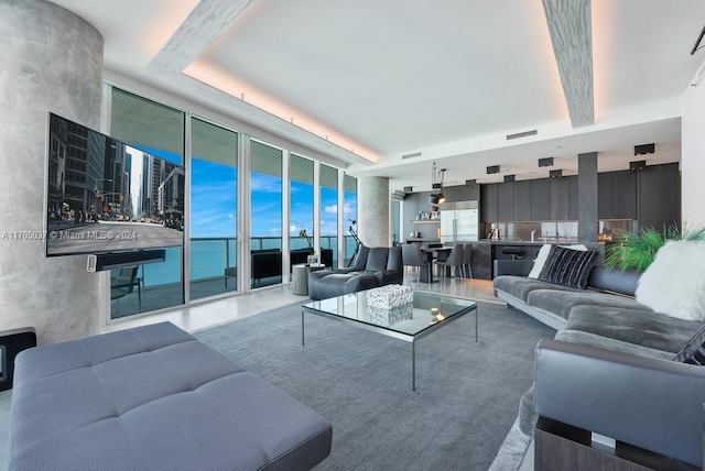 living room featuring a raised ceiling