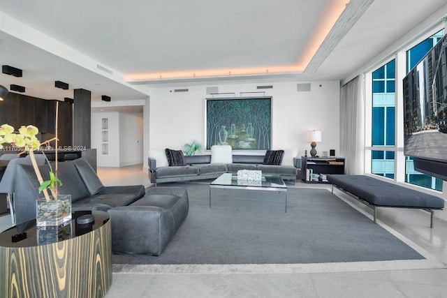 living room featuring a raised ceiling