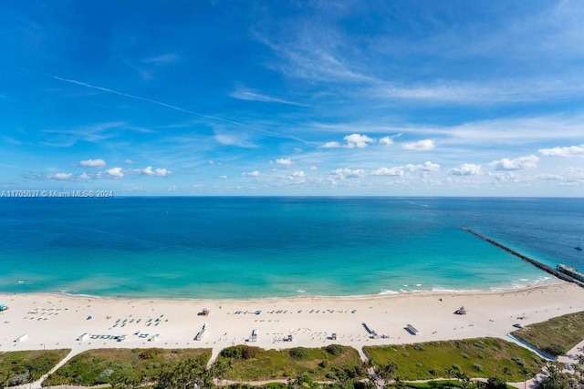 property view of water with a beach view