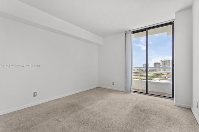 unfurnished room with light carpet and a wall of windows