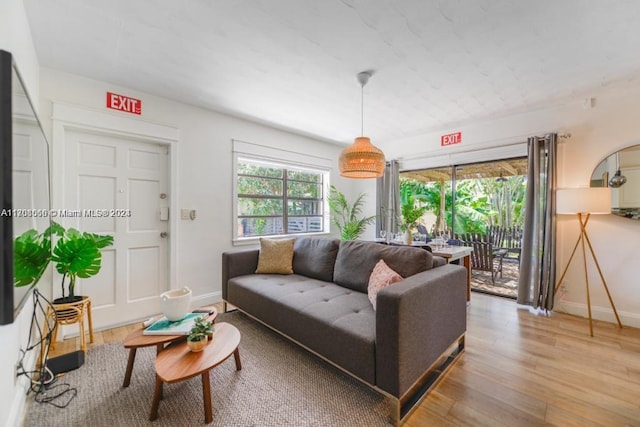 living room with wood-type flooring