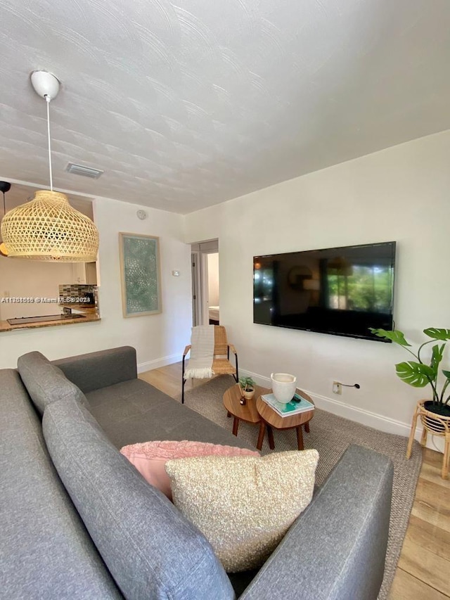 living room featuring hardwood / wood-style floors