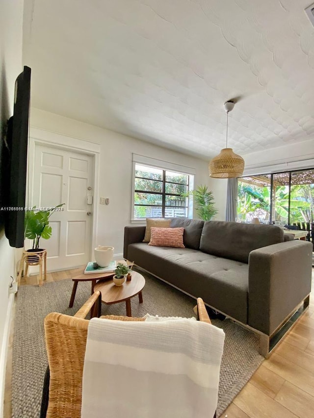 living room with light hardwood / wood-style floors