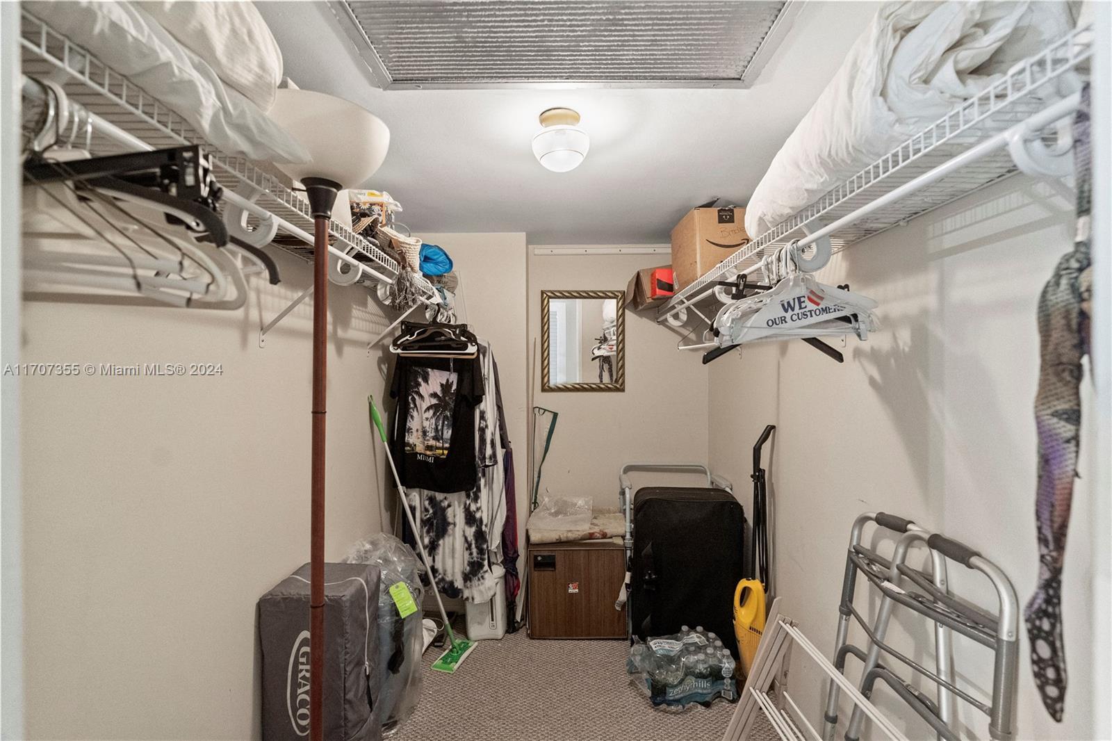 spacious closet featuring carpet