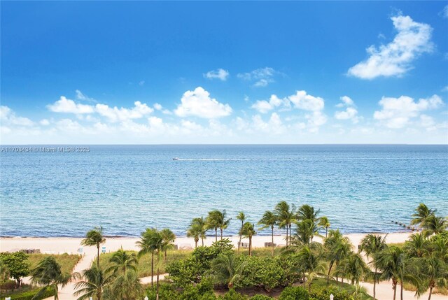 view of water feature featuring a view of the beach