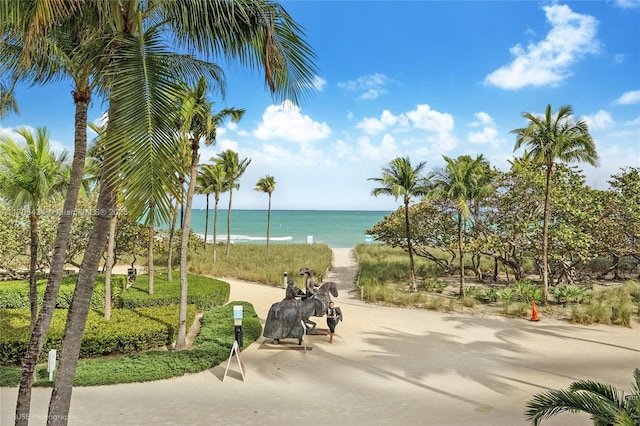 view of community featuring a water view and a beach view