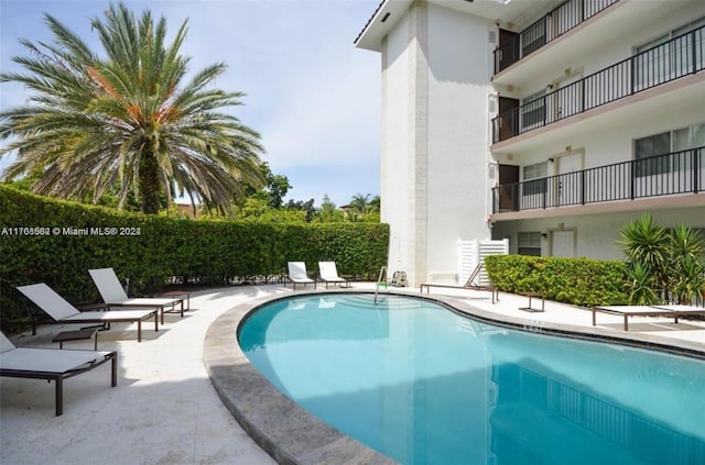 view of swimming pool with a patio