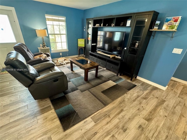 living room featuring hardwood / wood-style flooring