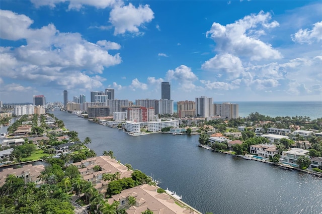 aerial view with a water view