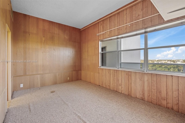 empty room featuring wood walls, carpet floors, and a textured ceiling