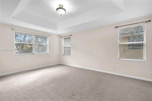 unfurnished room featuring carpet and a tray ceiling