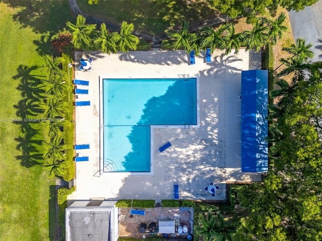 bird's eye view