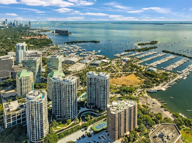 aerial view with a water view